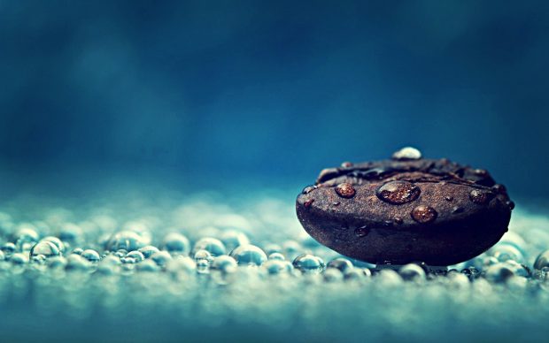 Coffee bean water drops macro photo hd wallpaper wide.