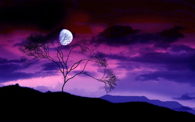 Cool purple sky moon wallpaper HD backgrounds.