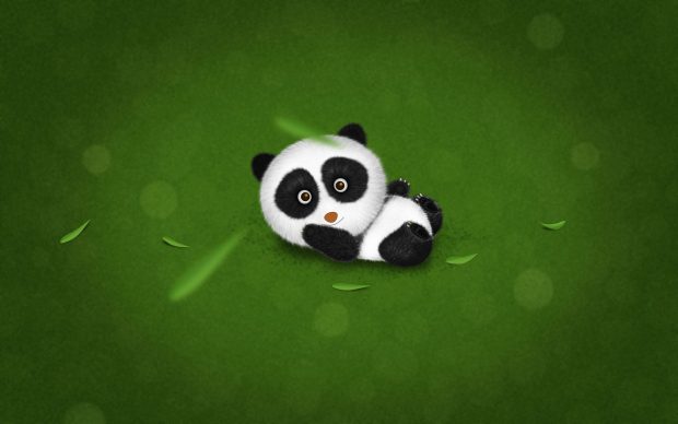 Cute Panda HD Wallpaper Pictures.