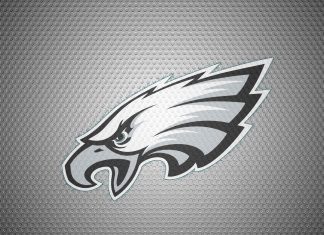 Desktop HD eagles image.