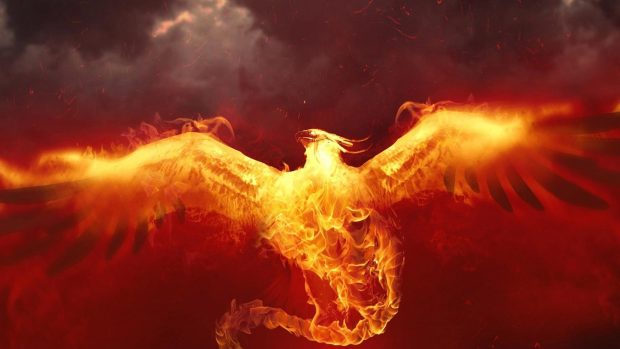 Download desktop phoenix bird wallpaper.