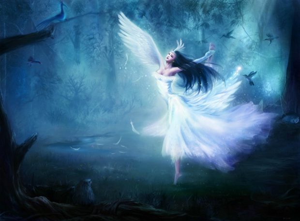 Fairy backgrounds free download.