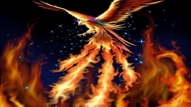 Fantasy fire bird phoenix wallpaper HD.