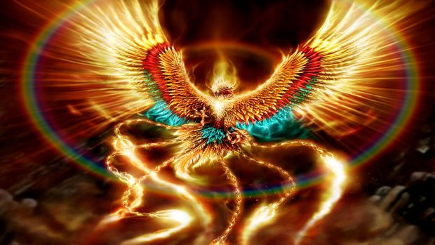 Fantasy phoenix bird wallpaper download.