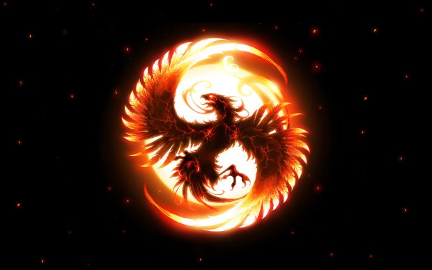Fenix in fire wide wallpapers HD.