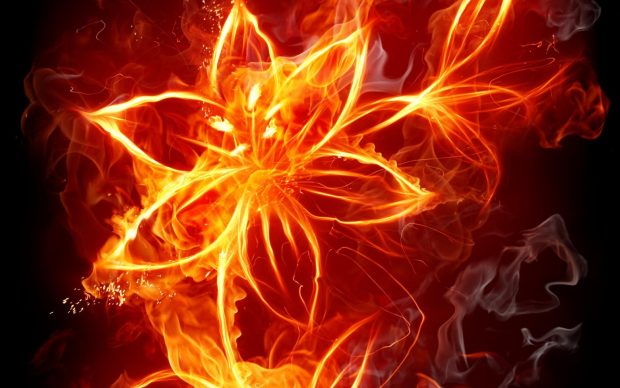 Fire flower flames artwork HD Wallpaper.