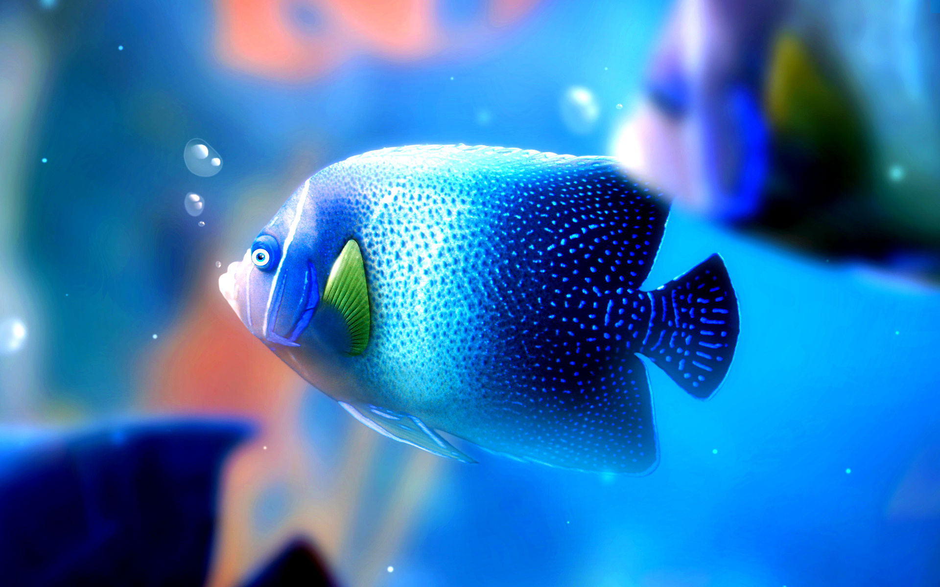 Wallpaper Beautiful fish rainbow abstract 2560x1600 HD Picture Image