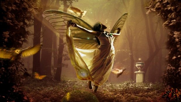 Forest fantasy fairy wallpapers HD.