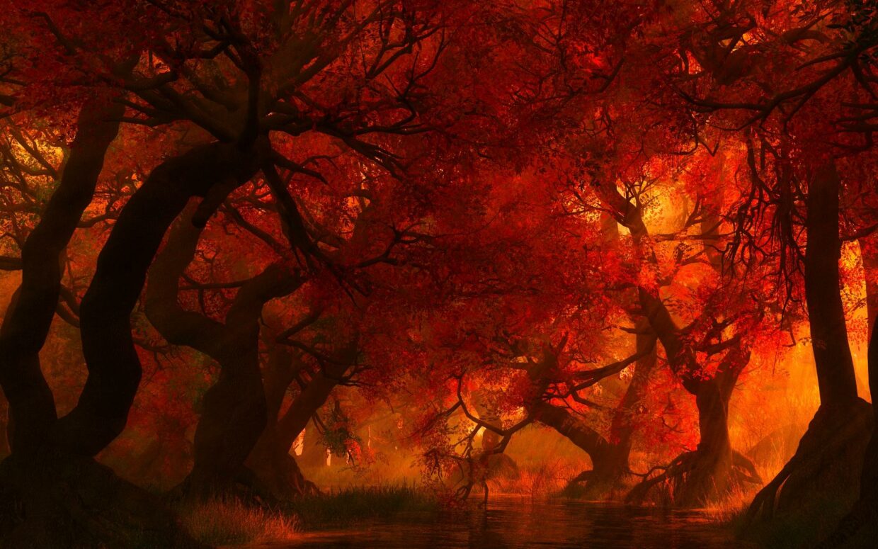 Fire Backgrounds for Desktop - PixelsTalk