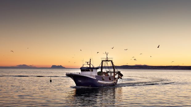 A Fishing Boat Returning Home HD Desktop Background