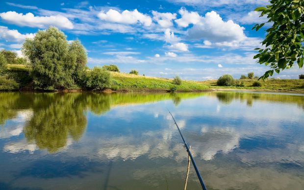 Free fly fishing wallpaper HD.