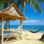 Free summer backgrounds hd wallpapers.