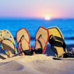 Funny Summer Wallpaper in Beach.