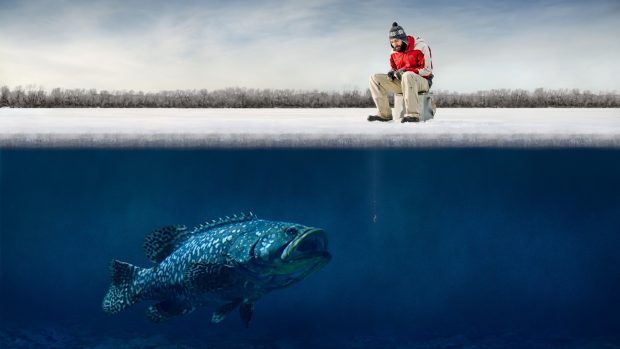 Funny guy ice big fish Hooks humor fisherman winter fishing wallpapers.