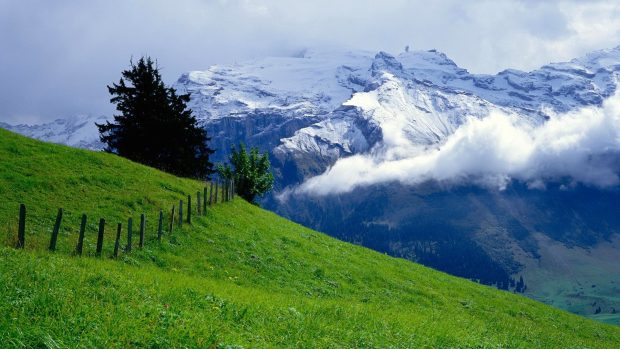 Green Pasture On Mountain Wallpaper Background.