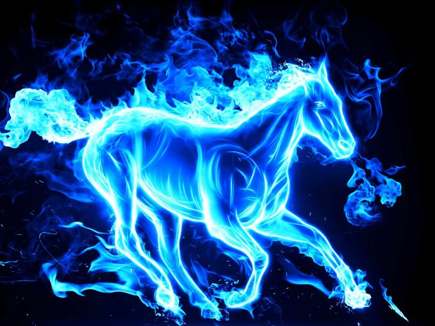 Horse on artistic fire pictures.