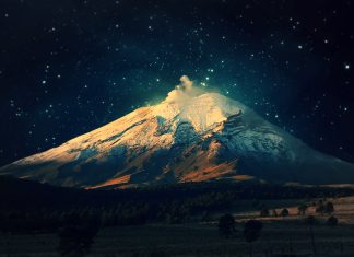 Nature night mountain star field plants HD wallpaper.