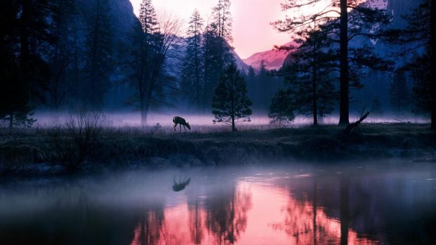 Night in yosemite wallpapers HD national park.