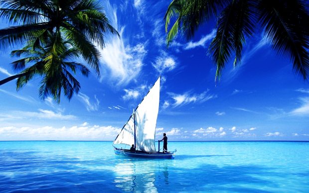 Ocean Scene Wallpaper Sail Boat.