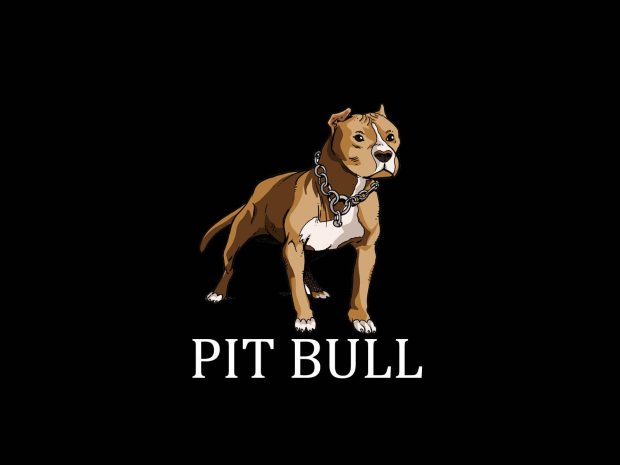 Painted pitbull terrier wallpaper.