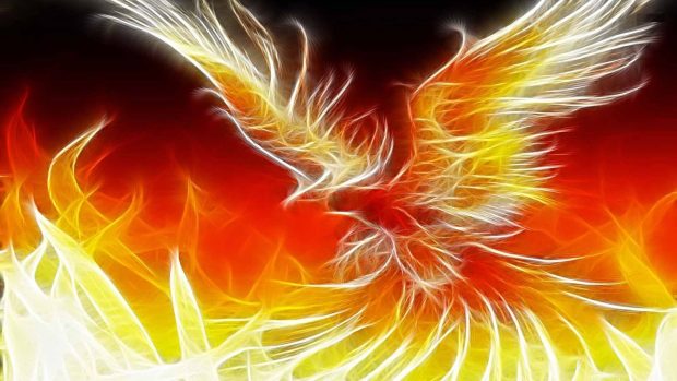 Phoenix bird flame fire abstract HD wallpapers.