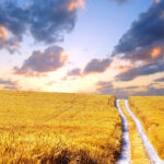 Photos download summer wallpapers high quality.