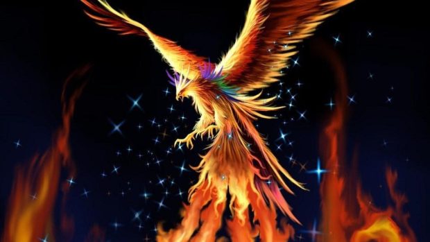 Pictures images phoenix bird wallpaper HD.