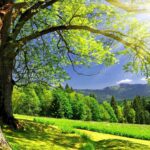 Pictures summer wallpapers high quality.