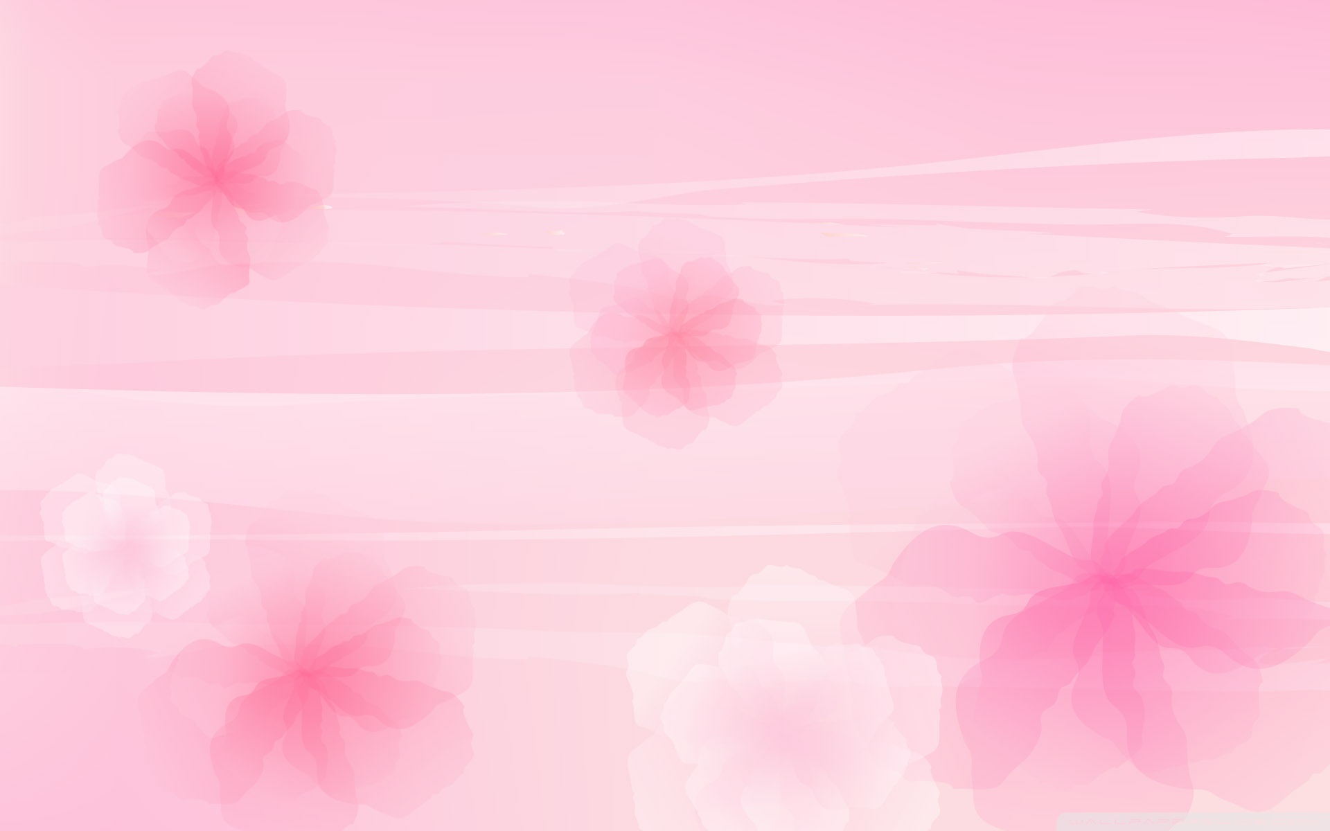 Pink Wallpapers Color Backgrounds desktop.