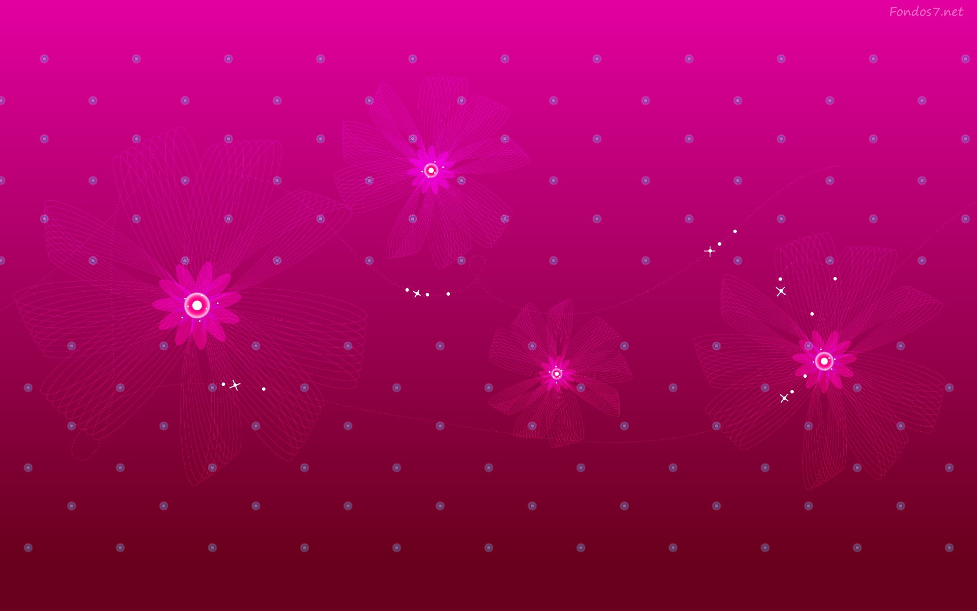 Pink Wallpapers Color Pictures download.
