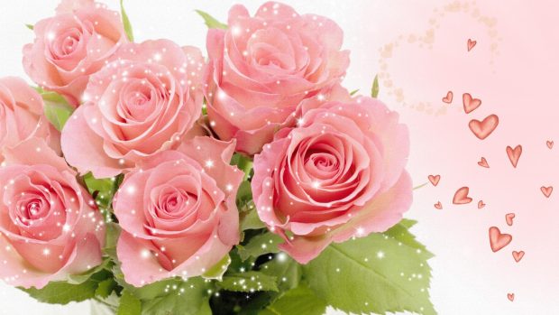 Pink rose pictures bouquet.