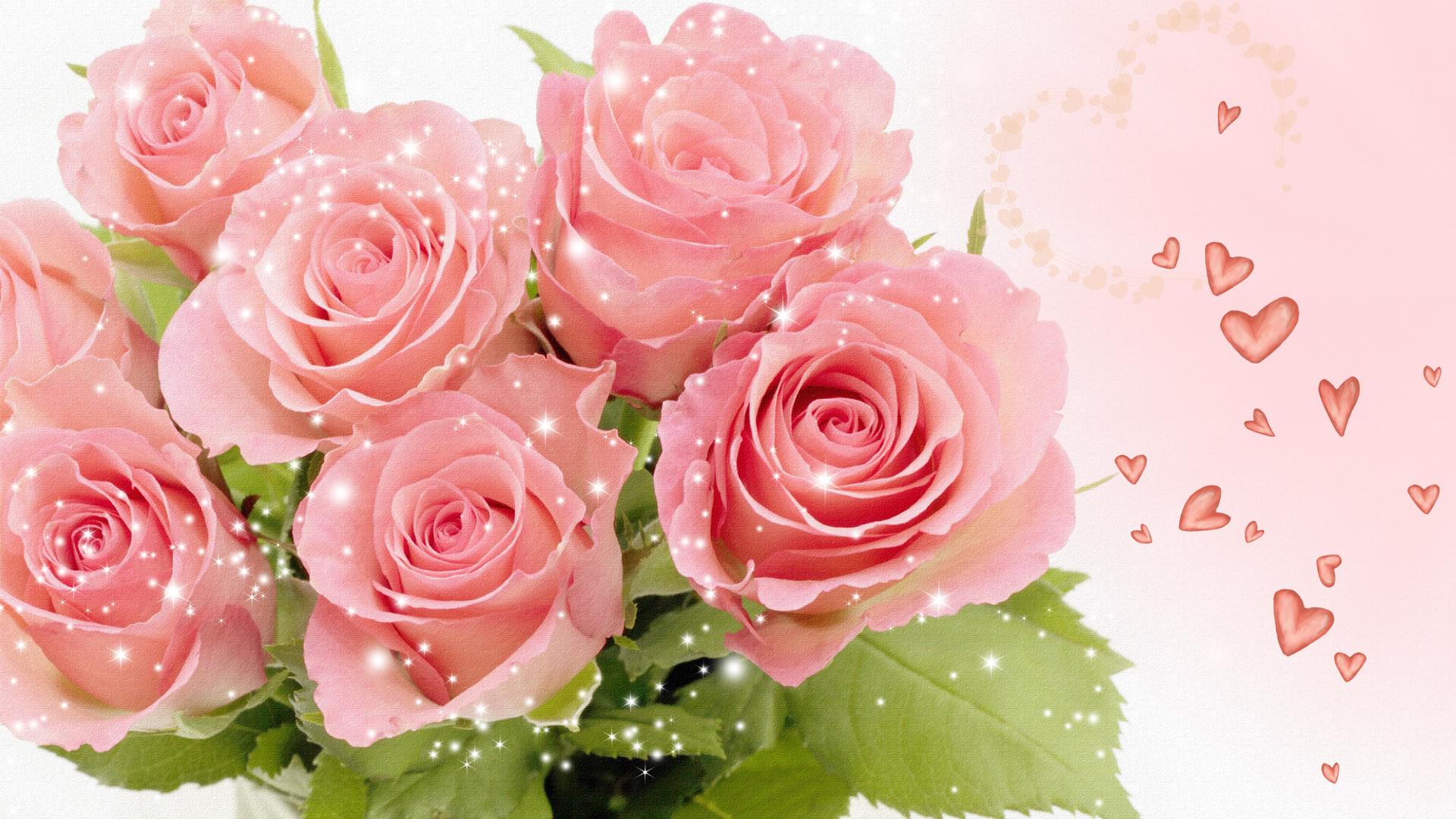 Bunch Of Pink Roses Wallpaper