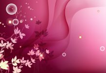 Pink wallpapers HD free download.