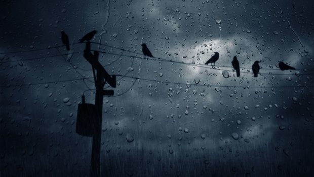 Rain backgrounds pictures download.