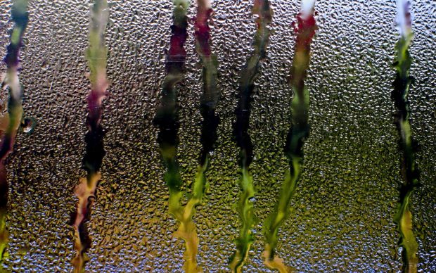 Rain glass wallpapers window water drops streams 1920x1200.