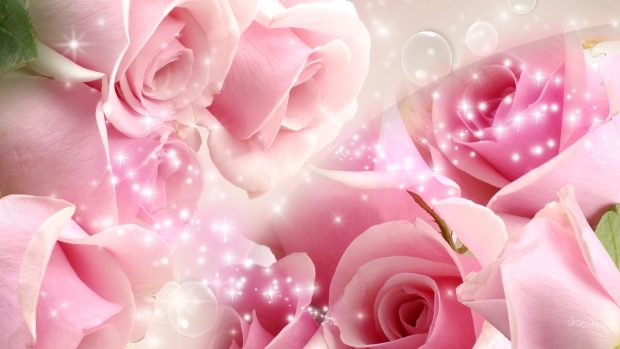 Rose so pink backgrounds download.