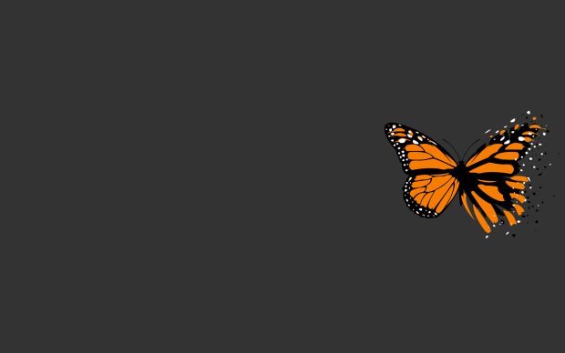Simple grey butterfly wallpapers HD.