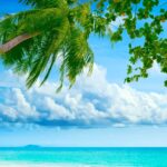 Summer Nature Wallpaper HD.