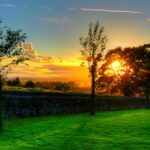 Summer hd backgrounds wallpaper.