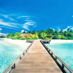 Summer wallpapers high quality free download.