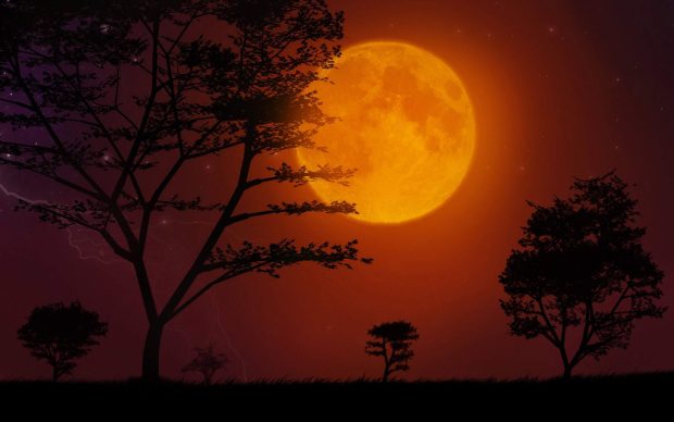 Super Moon HD Wallpaper.