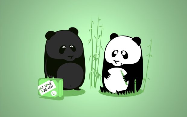 Tanned panda wallpaper background images pictures.