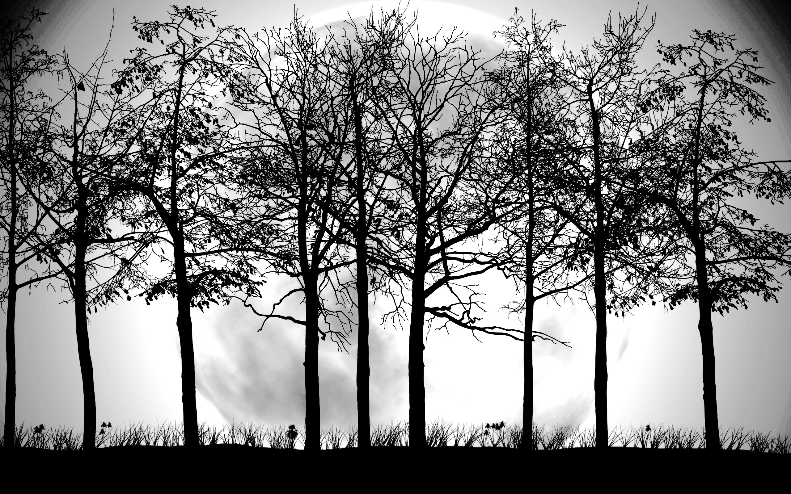  Tree  Wallpaper  Black  And White  PixelsTalk Net