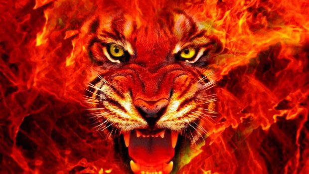 Wallpapers HD fire king images pictures.