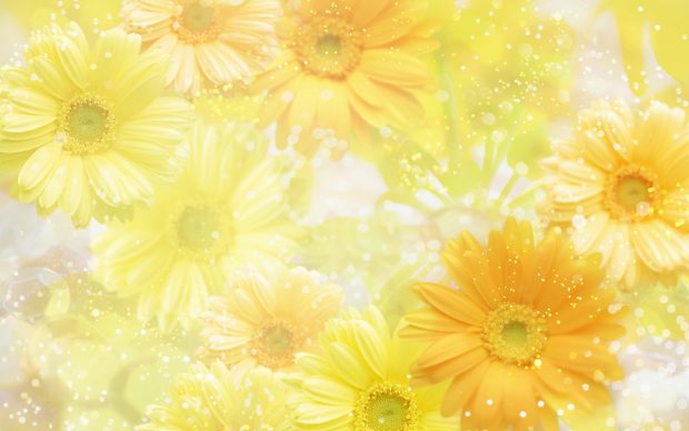 yellow widescreen wallpaper flowers background