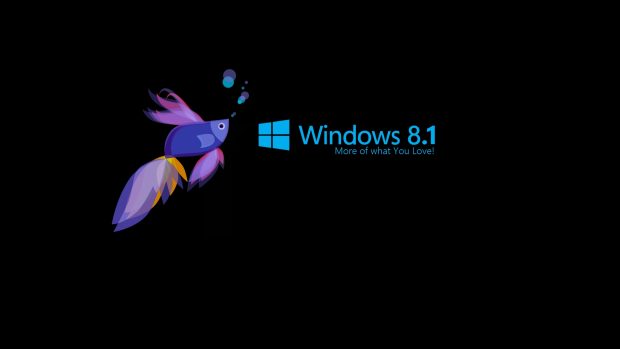 Windows 8 1 More Of What You Love HD Wallpaper.