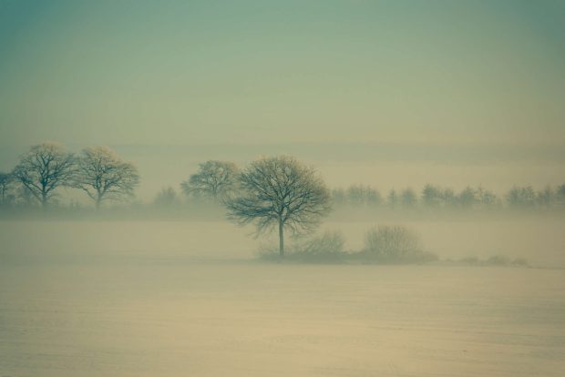 Winter Fog by Daniel Vesterskov.
