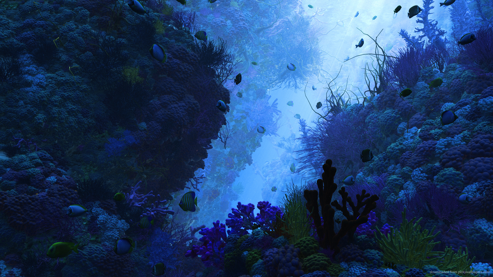 Underwater Wallpapers HD | PixelsTalk.Net