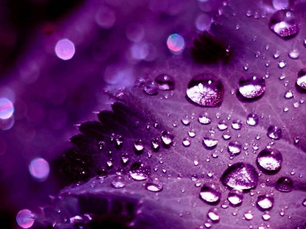 Awesome Purple Wallpaper.
