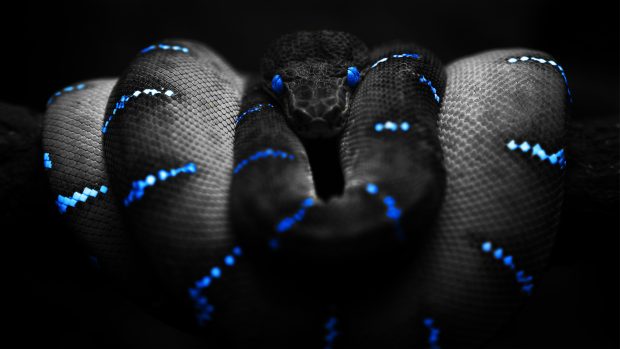 Background blue snakes awesome wallpaper.
